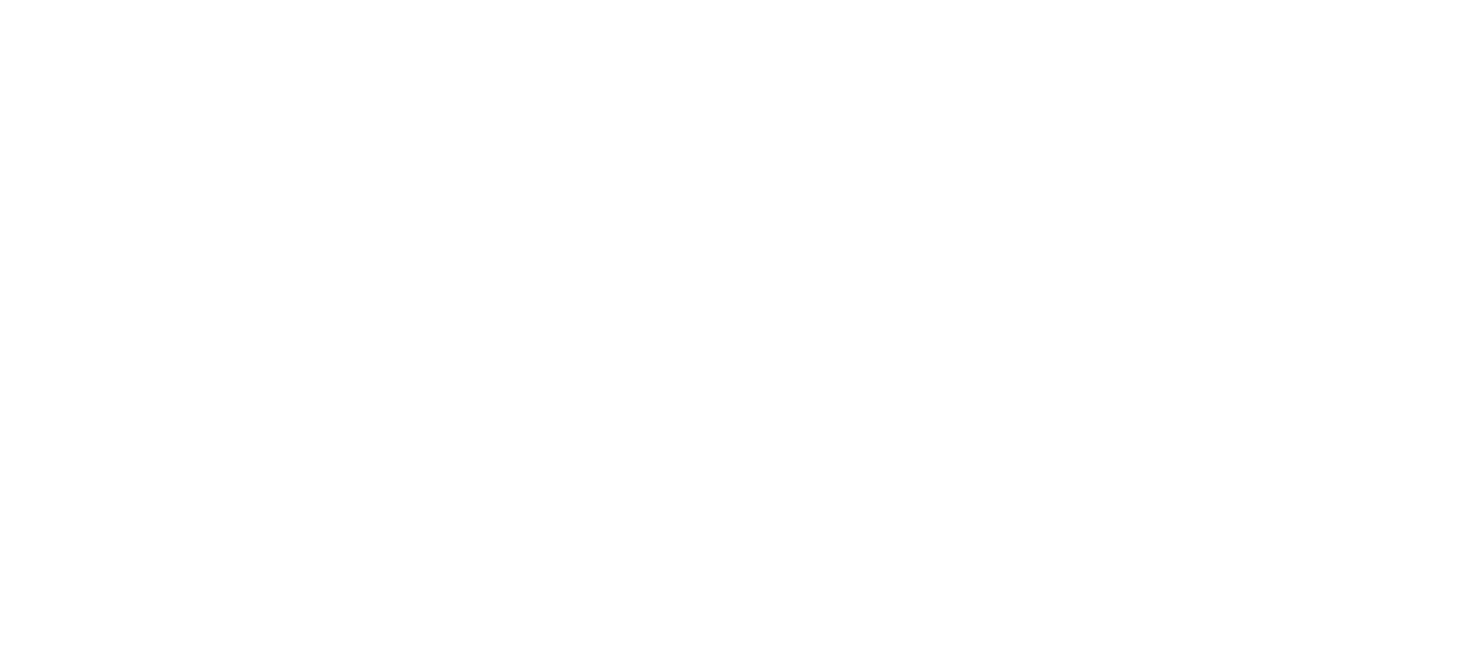 Trade Republic Logo White Letters logo